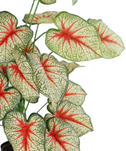 GloboStar® Artificial Garden CALADIUM PLANT 20921 Διακοσμητικό Φυτό Καλάντιουμ Φ75 x Υ80cm