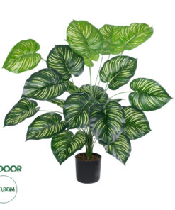 GloboStar® Artificial Garden CALATHEA PLANT 20922 Διακοσμητικό Φυτό Καλαθέα Φ70 x Υ80cm