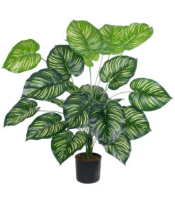 GloboStar® Artificial Garden CALATHEA PLANT 20922 Διακοσμητικό Φυτό Καλαθέα Φ70 x Υ80cm