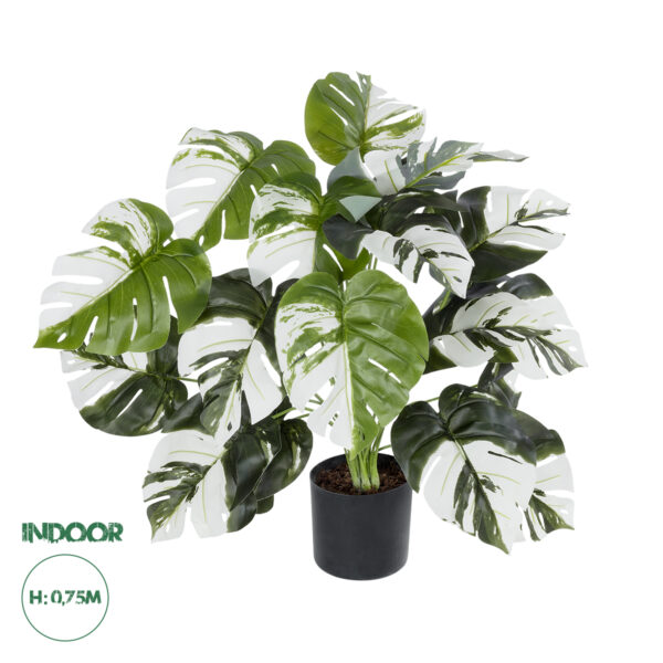 GloboStar® Artificial Garden ALBINO MONSTERA PLANT 20925 – Διακοσμητικό Φυτό Λευκή Μονστέρα Φ70 x Υ75cm