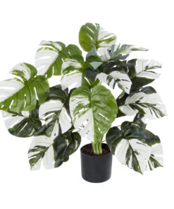 GloboStar® Artificial Garden ALBINO MONSTERA PLANT 20925 – Διακοσμητικό Φυτό Λευκή Μονστέρα Φ70 x Υ75cm
