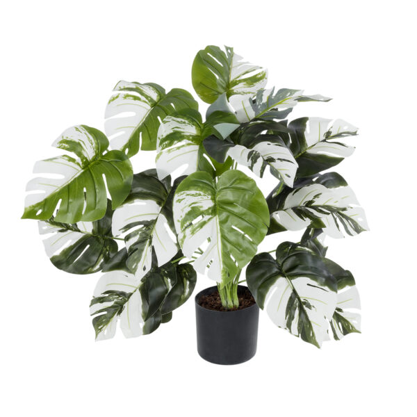 GloboStar® Artificial Garden ALBINO MONSTERA PLANT 20925 - Διακοσμητικό Φυτό Λευκή Μονστέρα Φ70 x Υ75cm