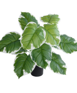 GloboStar® Artificial Garden WHITE HOSTA PLANT 20931 Διακοσμητικό Φυτό Λευκή Χόστα Φ60 x Υ55cm