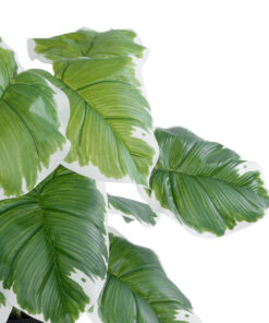 GloboStar® Artificial Garden WHITE HOSTA PLANT 20931 Διακοσμητικό Φυτό Λευκή Χόστα Φ60 x Υ55cm