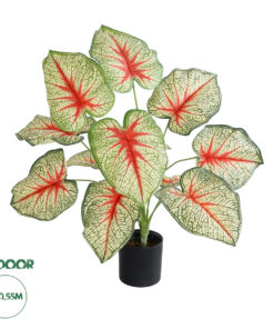 GloboStar® Artificial Garden CALADIUM PLANT 20932 Διακοσμητικό Φυτό Καλάντιουμ Φ58 x Υ55cm