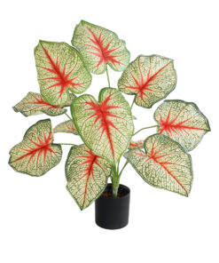 GloboStar® Artificial Garden CALADIUM PLANT 20932 Διακοσμητικό Φυτό Καλάντιουμ Φ58 x Υ55cm