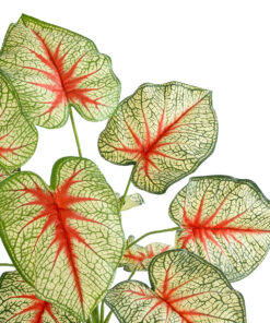 GloboStar® Artificial Garden CALADIUM PLANT 20932 Διακοσμητικό Φυτό Καλάντιουμ Φ58 x Υ55cm