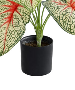 GloboStar® Artificial Garden CALADIUM PLANT 20932 Διακοσμητικό Φυτό Καλάντιουμ Φ58 x Υ55cm