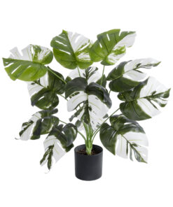 GloboStar® Artificial Garden ALBINO MONSTERA PLANT 20935 – Διακοσμητικό Φυτό Λευκή Μονστέρα Φ60 x Υ55cm