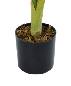 GloboStar® Artificial Garden CALATHEA PLANT 20940 Διακοσμητικό Φυτό Καλαθέα Φ80 x Υ90cm