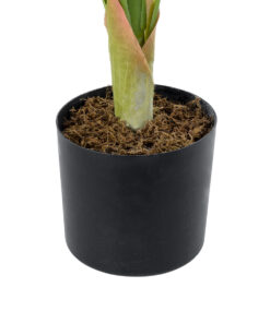 GloboStar® Artificial Garden WHITE ZEBRA PLANT 20943 Τεχνητό Διακοσμητικό Φυτό Λευκή Ζέβρα Φ90 x Υ90cm