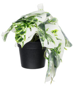 GloboStar® Artificial Garden ALBINO MONSTERA PLANT 20946 – Διακοσμητικό Φυτό Μονστέρα Φ23 x Υ16cm