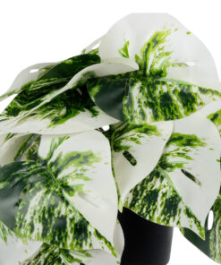 GloboStar® Artificial Garden ALBINO MONSTERA PLANT 20946 – Διακοσμητικό Φυτό Μονστέρα Φ23 x Υ16cm