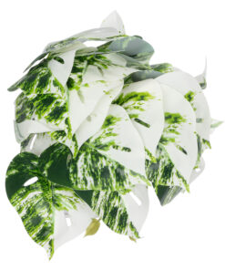 GloboStar® Artificial Garden ALBINO MONSTERA PLANT 20946 – Διακοσμητικό Φυτό Μονστέρα Φ23 x Υ16cm