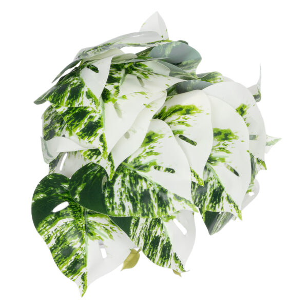GloboStar® Artificial Garden ALBINO MONSTERA PLANT 20946 – Διακοσμητικό Φυτό Μονστέρα Φ23 x Υ16cm