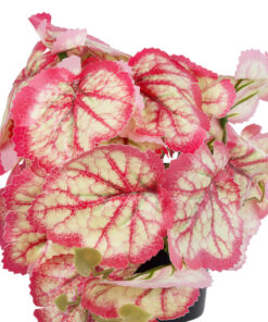 GloboStar® Artificial Garden RED BEGONIA PLANT 20948 Διακοσμητικό Φυτό Κόκκινη Μπιγόνια Φ23 x Υ16cm