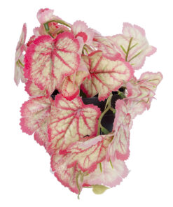 GloboStar® Artificial Garden RED BEGONIA PLANT 20948 Διακοσμητικό Φυτό Κόκκινη Μπιγόνια Φ23 x Υ16cm