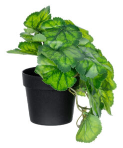 GloboStar® Artificial Garden GREEN BEGONIA PLANT 20949 Διακοσμητικό Φυτό Πράσινη Μπιγόνια Φ23 x Υ16cm