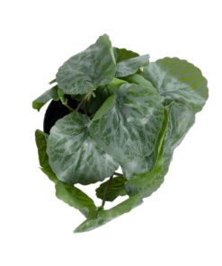 GloboStar® Artificial Garden STRAWBERRY PLANT 20950 Διακοσμητικό Φυτό Φραουλιά Φ23 x Υ16cm