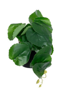 GloboStar® Artificial Garden STRAWBERRY PLANT 20951 Διακοσμητικό Φυτό Φράουλα Φ23 x Υ16cm