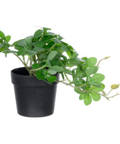 GloboStar® Artificial Garden SCHEFFLERA PLANT 20954 Διακοσμητικό Φυτό Σεφλέρα Φ18 x Υ17cm