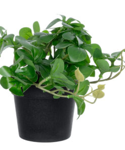 GloboStar® Artificial Garden SCHEFFLERA PLANT 20954 Διακοσμητικό Φυτό Σεφλέρα Φ18 x Υ17cm