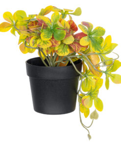 GloboStar® Artificial Garden SCHEFFLERA MIX PLANT 20956 Διακοσμητικό Φυτό Σεφλέρα Φ20 x Υ18cm