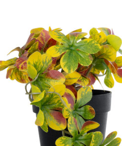 GloboStar® Artificial Garden SCHEFFLERA MIX PLANT 20956 Διακοσμητικό Φυτό Σεφλέρα Φ20 x Υ18cm