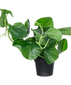 GloboStar® Artificial Garden BELL PLANT 20957 Διακοσμητικό Φυτό Σεφλέρα Φ47 x Υ22cm