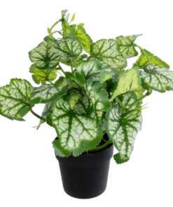 GloboStar® Artificial Garden BEGONIA PLANT 20958 Διακοσμητικό Φυτό Βιγόνια Φ47 x Υ22cm
