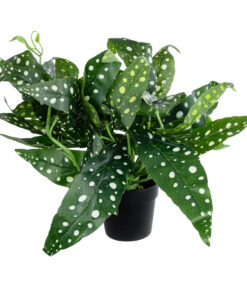 GloboStar® Artificial Garden BEGONIA POLKA DOT PLANT 20959 Διακοσμητικό Φυτό Βιγόνια Φ50 x Υ22cm