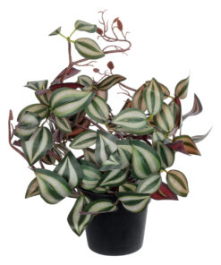 GloboStar® Artificial Garden ZEBRINA PLANT 20961 Διακοσμητικό Φυτό Ζεμπρίνα Φ45 x Υ22cm