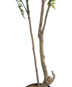 GloboStar® Artificial Garden GREEN NANDINA PLANT 20965 Διακοσμητικό Φυτό Πράσινη Ναντίνα Φ66 x Υ150cm