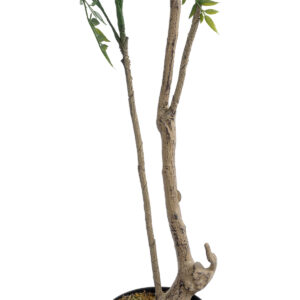 GloboStar® Artificial Garden GREEN NANDINA PLANT 20965 Διακοσμητικό Φυτό Πράσινη Ναντίνα Φ66 x Υ150cm