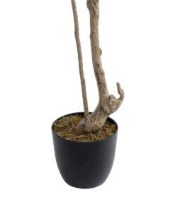 GloboStar® Artificial Garden GREEN NANDINA PLANT 20965 Διακοσμητικό Φυτό Πράσινη Ναντίνα Φ66 x Υ150cm