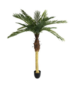 GloboStar® Artificial Garden PHOENIX PALM TREE 20968 Τεχνητό Διακοσμητικό Φυτό Φοίνικας Φ150 x Υ180cm