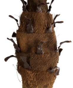 GloboStar® Artificial Garden PHOENIX PALM TREE 20968 Τεχνητό Διακοσμητικό Φυτό Φοίνικας Φ150 x Υ180cm