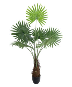 GloboStar® Artificial Garden SERENOA PALM PLANT 20971 Διακοσμητικό Φυτό Φοίνικα Σερενόα Φ60 x Υ140cm