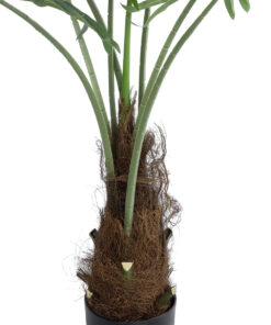 GloboStar® Artificial Garden SERENOA PALM PLANT 20971 Διακοσμητικό Φυτό Φοίνικα Σερενόα Φ60 x Υ140cm
