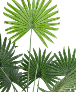 GloboStar® Artificial Garden SERENOA PALM PLANT 20971 Διακοσμητικό Φυτό Φοίνικα Σερενόα Φ60 x Υ140cm
