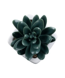 GloboStar® Artificial Garden SUCCULENT SEDEVERIA PLANT 20977 Διακοσμητικό Φυτό Παχύφυτο Σεντεβέρια Φ6 x Υ9cm