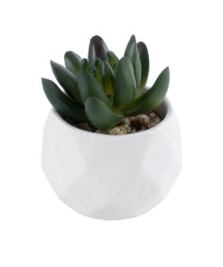 GloboStar® Artificial Garden SUCCULENT CRASSULA 20979 Διακοσμητικό Φυτό Παχύφυτο Κράσουλα Υ9cm