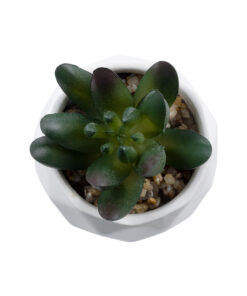 GloboStar® Artificial Garden SUCCULENT CRASSULA 20979 Διακοσμητικό Φυτό Παχύφυτο Κράσουλα Υ9cm