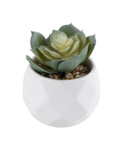 GloboStar® Artificial Garden SUCCULENT ECHEVERIA 20980 Διακοσμητικό Φυτό Παχύφυτο Εχεβέρια Υ7.5cm