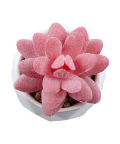 GloboStar® Artificial Garden SUCCULENT SEDEVERIA 20981 Διακοσμητικό Φυτό Παχύφυτο Σεντεβέρια Υ8cm