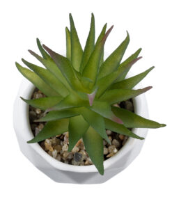 GloboStar® Artificial Garden SUCCULENT ALOE 20982 Διακοσμητικό Φυτό Παχύφυτο Αλόη Υ11cm