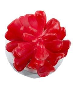 GloboStar® Artificial Garden SUCCULENT CRASSULA 20985 Διακοσμητικό Φυτό Παχύφυτο Κράσουλα Υ10cm