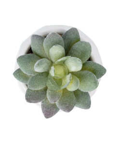 GloboStar® Artificial Garden SUCCULENT SEDEVERIA POTTED PLANT 20987 Διακοσμητικό Φυτό Σεδεβέρια Φ7 x Υ7,5cm