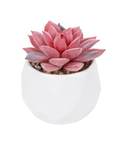 GloboStar® Artificial Garden SUCCULENT SEDEVERIA POTTED PLANT 20989 Διακοσμητικό Φυτό Σεδεβέρια Φ6,5 x Υ8cm