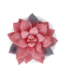 GloboStar® Artificial Garden SUCCULENT SEDEVERIA POTTED PLANT 20989 Διακοσμητικό Φυτό Σεδεβέρια Φ6,5 x Υ8cm